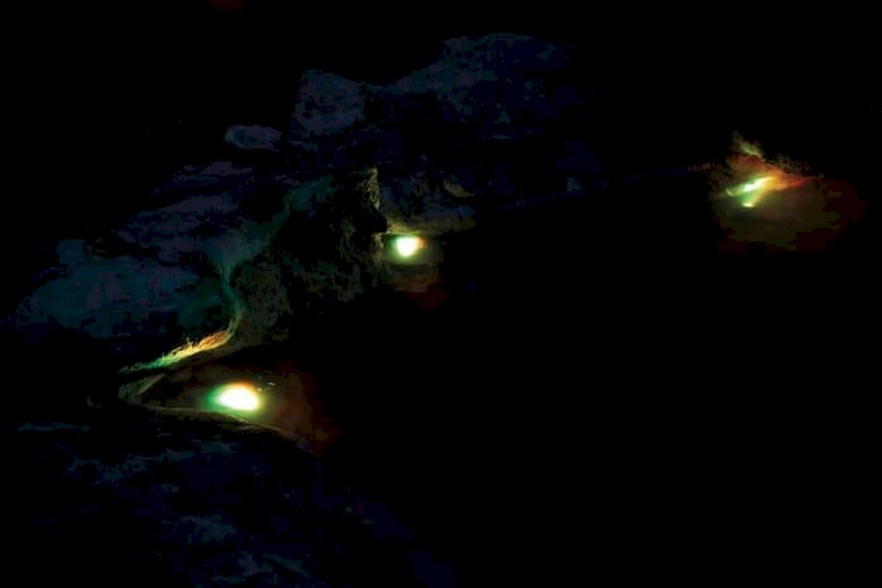 Pontec PondoStar vijververlichting LED RGBW Set 3
