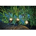 Pontec PondoStar vijververlichting LED warm Set 3
