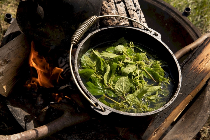 The Windmill Dutch Oven met pootjes - 3,8 liter