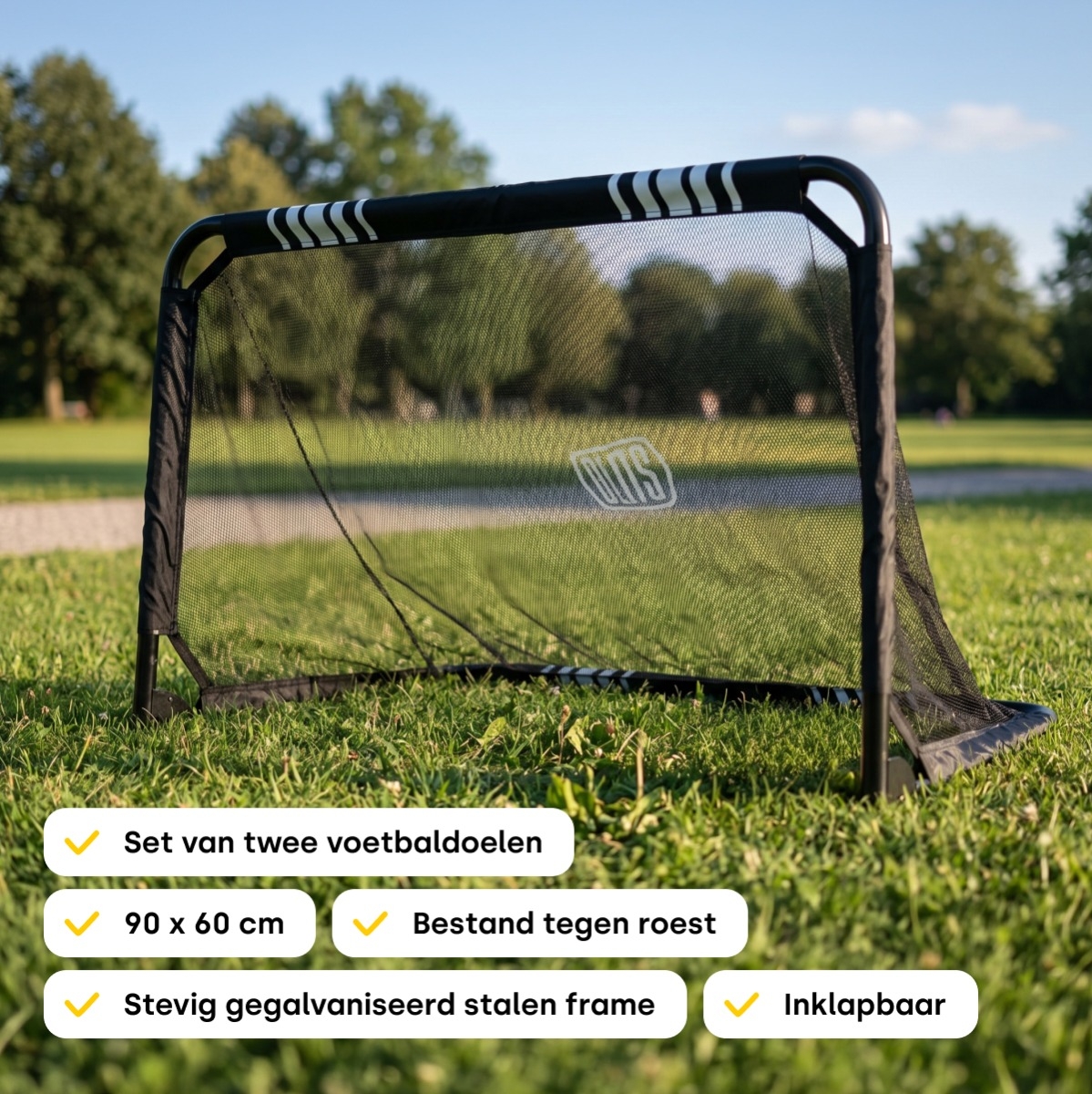 BLITS Street voetbaldoelen set - 90 x 60 cm