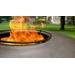 Bonfeu FoodBumper voor BonBiza