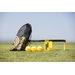 Spikeball Standard/Combo Set