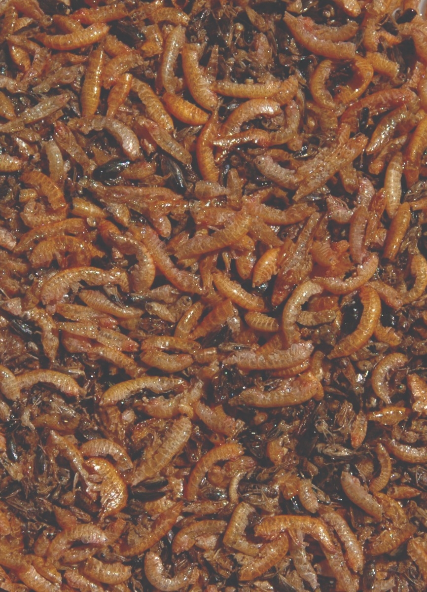 Velda natuurlijk visvoer - 1 liter 