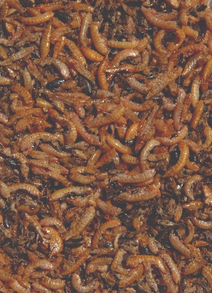 Velda natuurlijk visvoer - 1 liter 