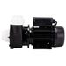 LX LP250 Spa massagepomp 2,5 PK - 1 speed