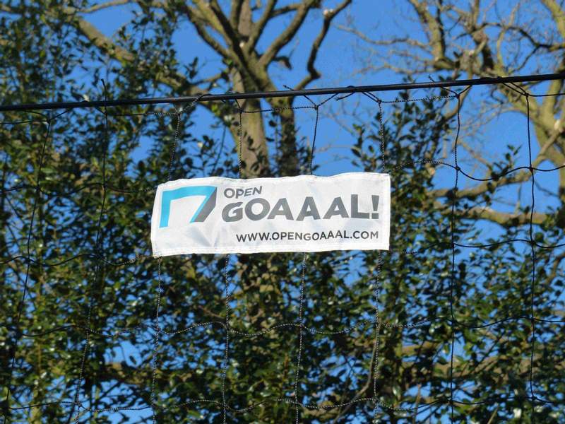 Open Goaaal Standard voetbaldoel, rebounder & backstop - 3 in 1 - 270 x 160 cm