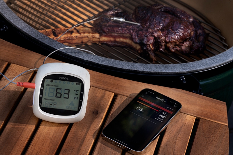 HerQs EasyBBQ Pro bbq thermometer