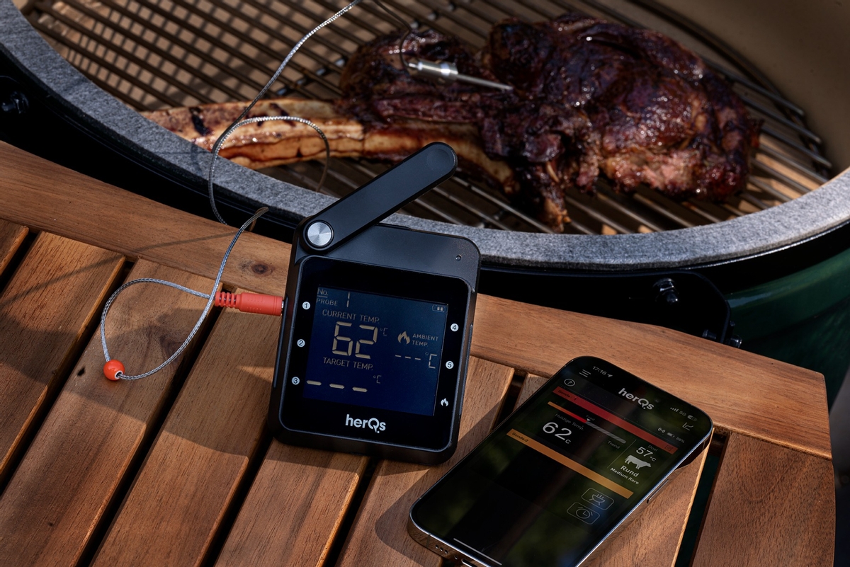 HerQs Professional bbq thermometer 