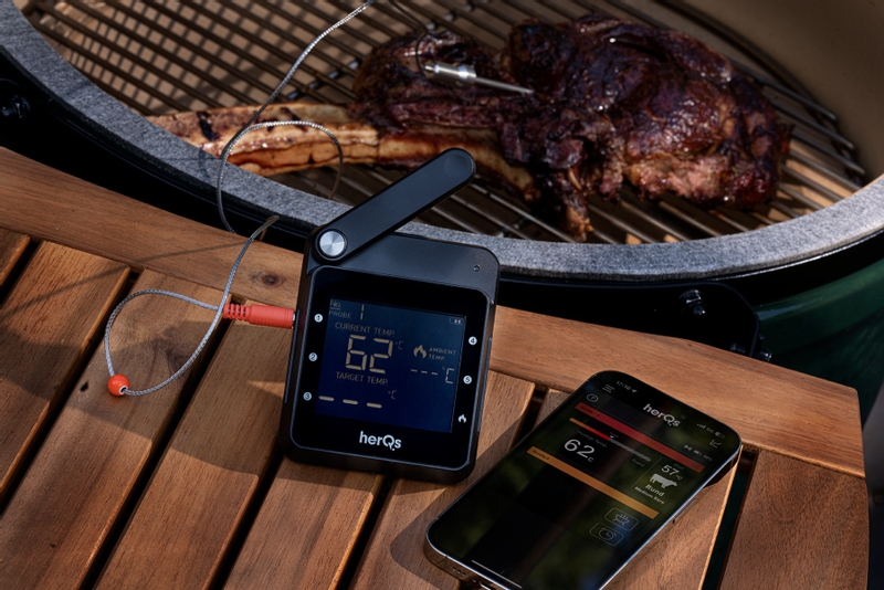 HerQs Professional bbq thermometer 