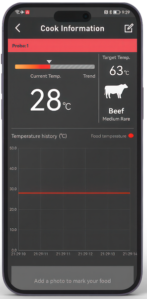 HerQs Professional bbq thermometer 