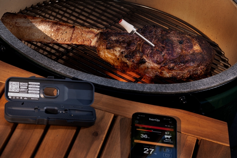 HerQs Pin Probe draadloze bbq thermometer