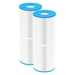 W'eau spa filter type 6 (o.a. SC706 of C-4950) - 2 stuks