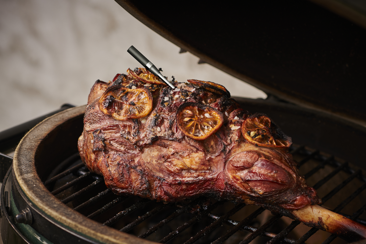 Witt CookPerfect Wireless Dual thermometer