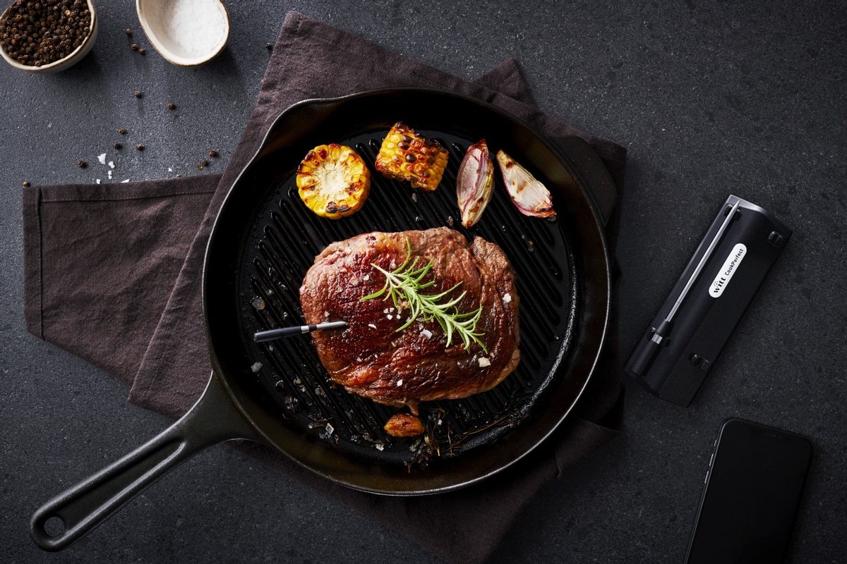 Witt CookPerfect Wireless Dual thermometer