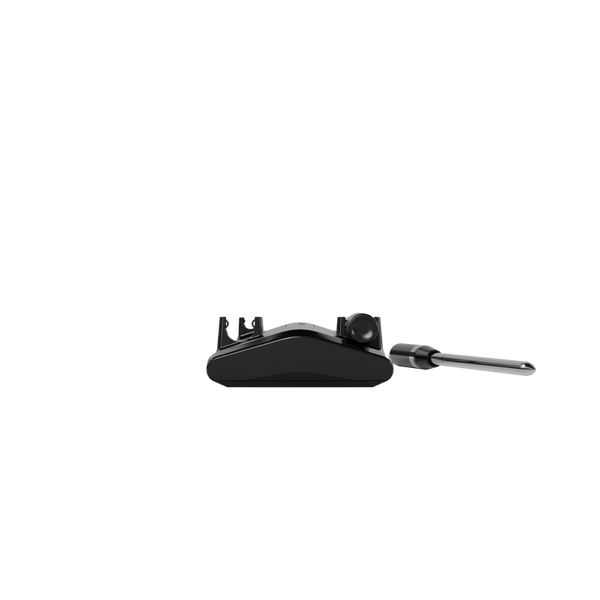 Witt CookPerfect Wireless Dual thermometer