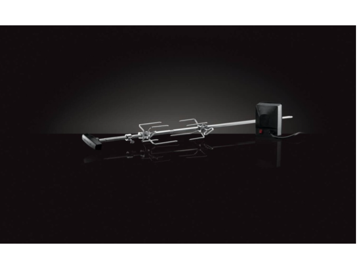 Napoleon Draaispit voor Rogue