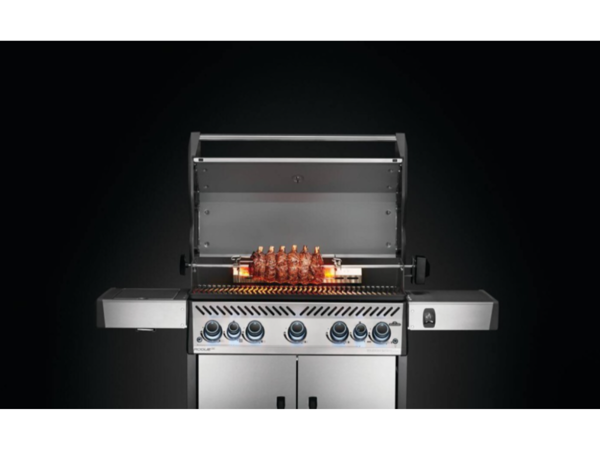 Napoleon Draaispit voor Rogue