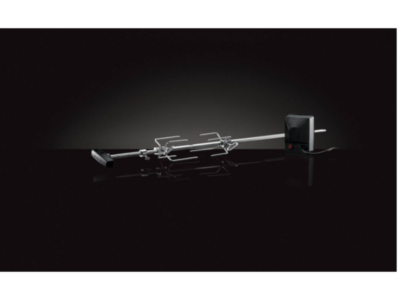 Napoleon Draaispit voor Rogue