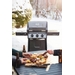 Napoleon Freestyle 365 SB gas bbq