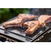 Napoleon Freestyle 365 SB gas bbq