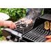 Napoleon Freestyle 365 SB gas bbq