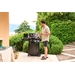 Napoleon Freestyle 365 SB gas bbq