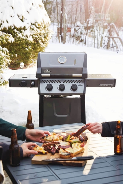 Napoleon Freestyle 365 SB gas bbq