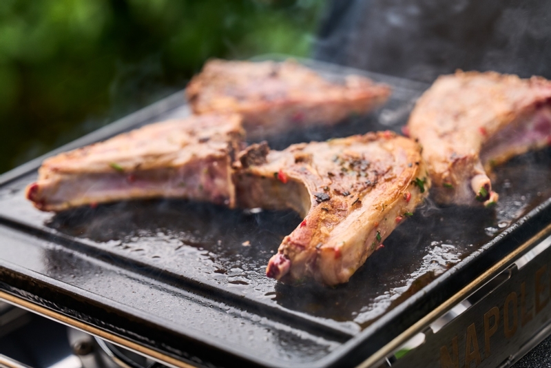 Napoleon Freestyle 365 SB gas bbq