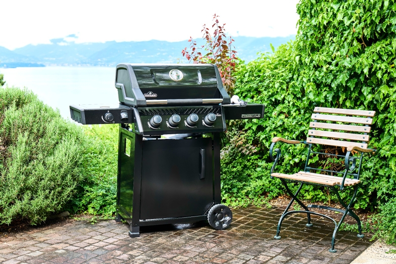 Napoleon Freestyle 425 SB gas bbq