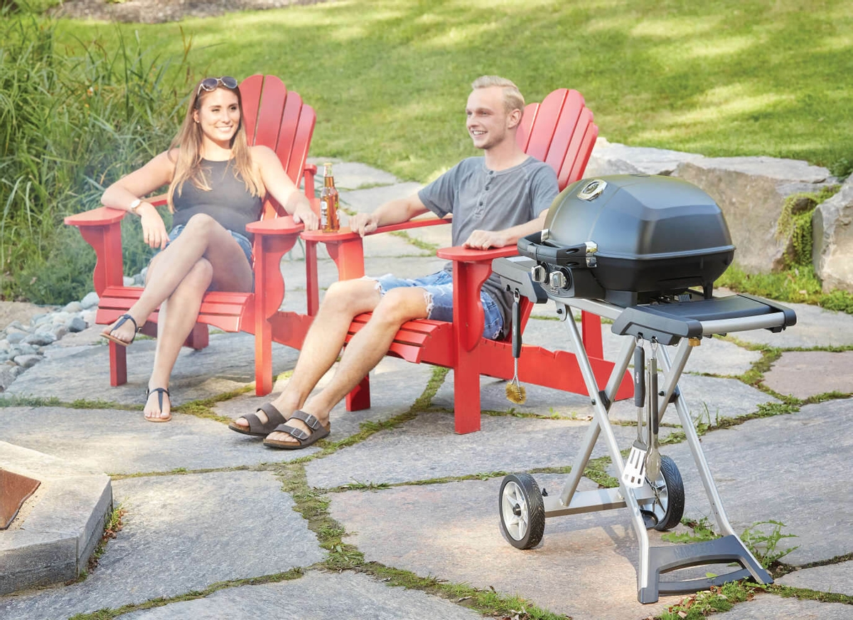 Napoleon TravelQ PRO 285X gas bbq