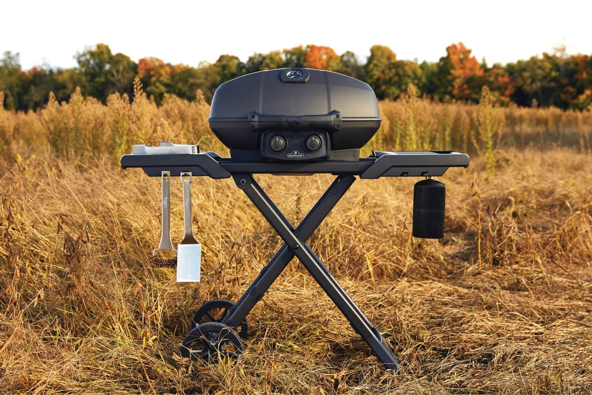 Napoleon Phantom TravelQ PRO 285X gas bbq