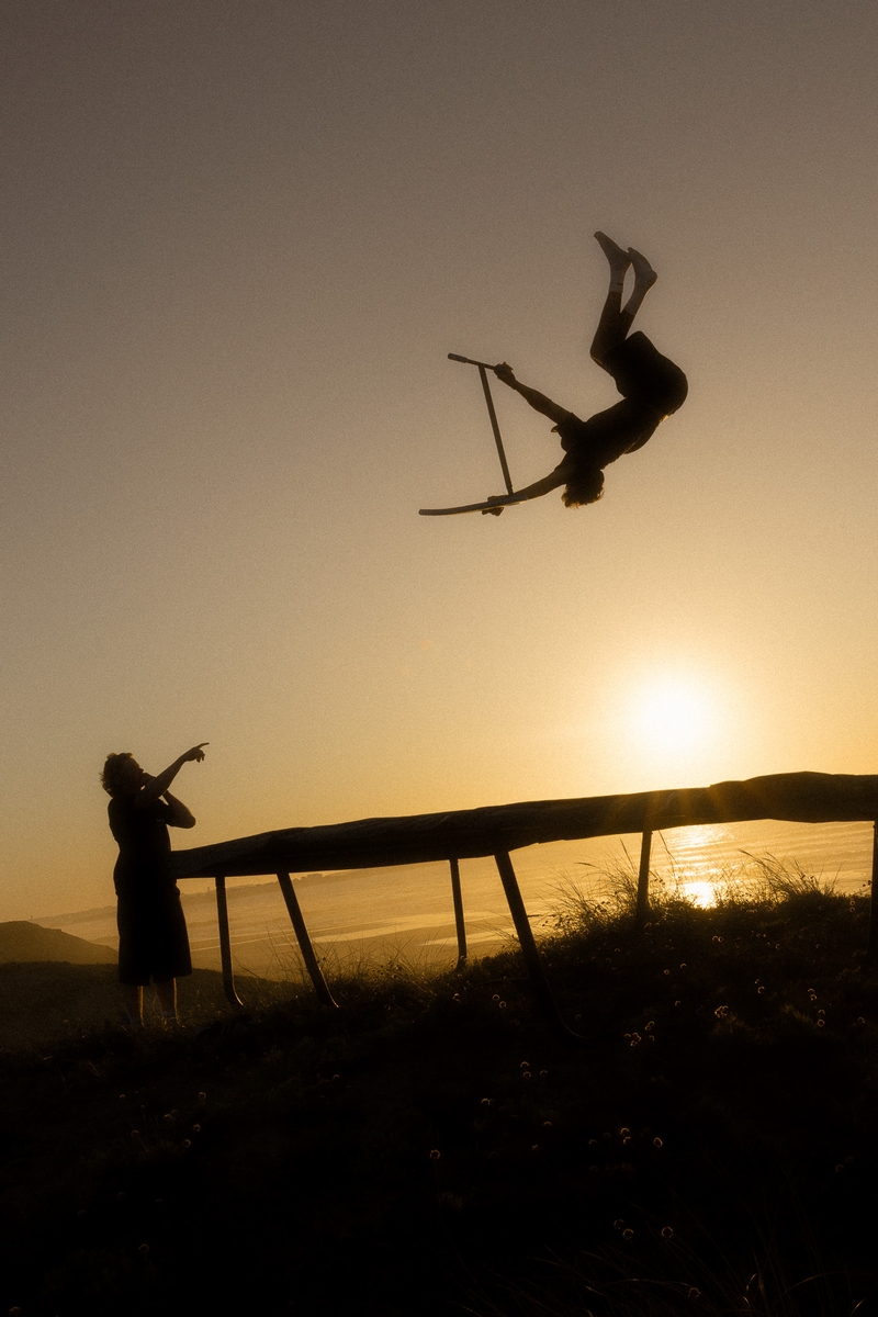 Indo Pro V2 trampoline step