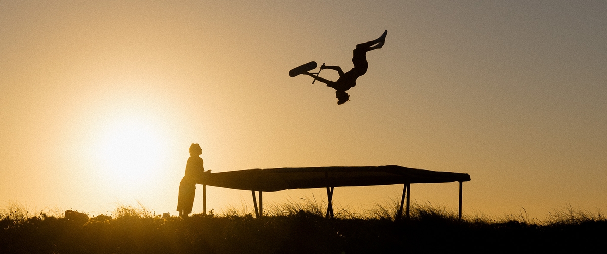 Indo Pro V2 trampoline step