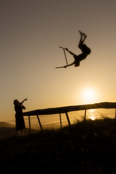 Indo Pro V2 trampoline step