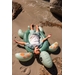 Swim Essentials opblaasbare ride on schildpad 140 cm