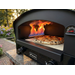 BASTE pizzaoven buiten gas 16 inch - RVS