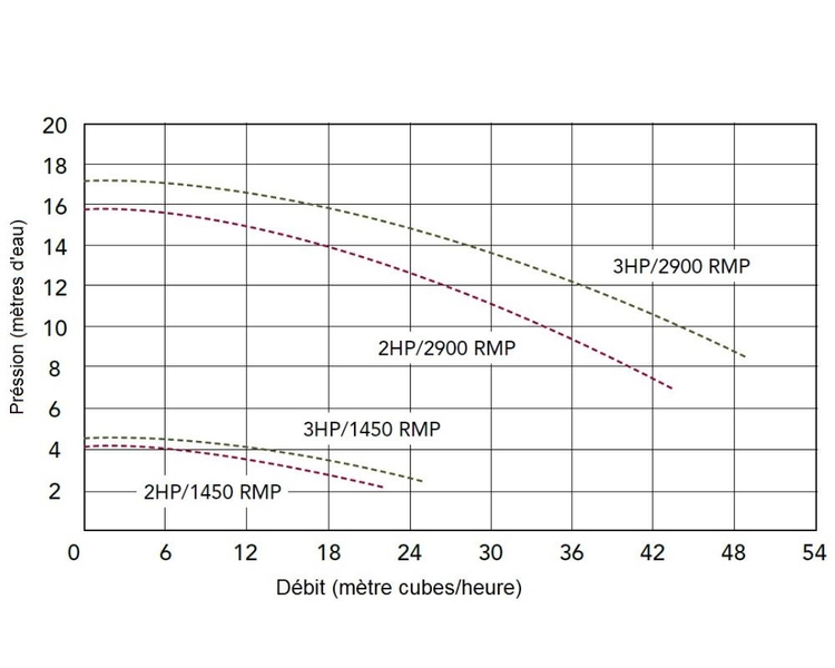 Balboa Niagara Spa Massagepomp 3 PK - 2 speed
