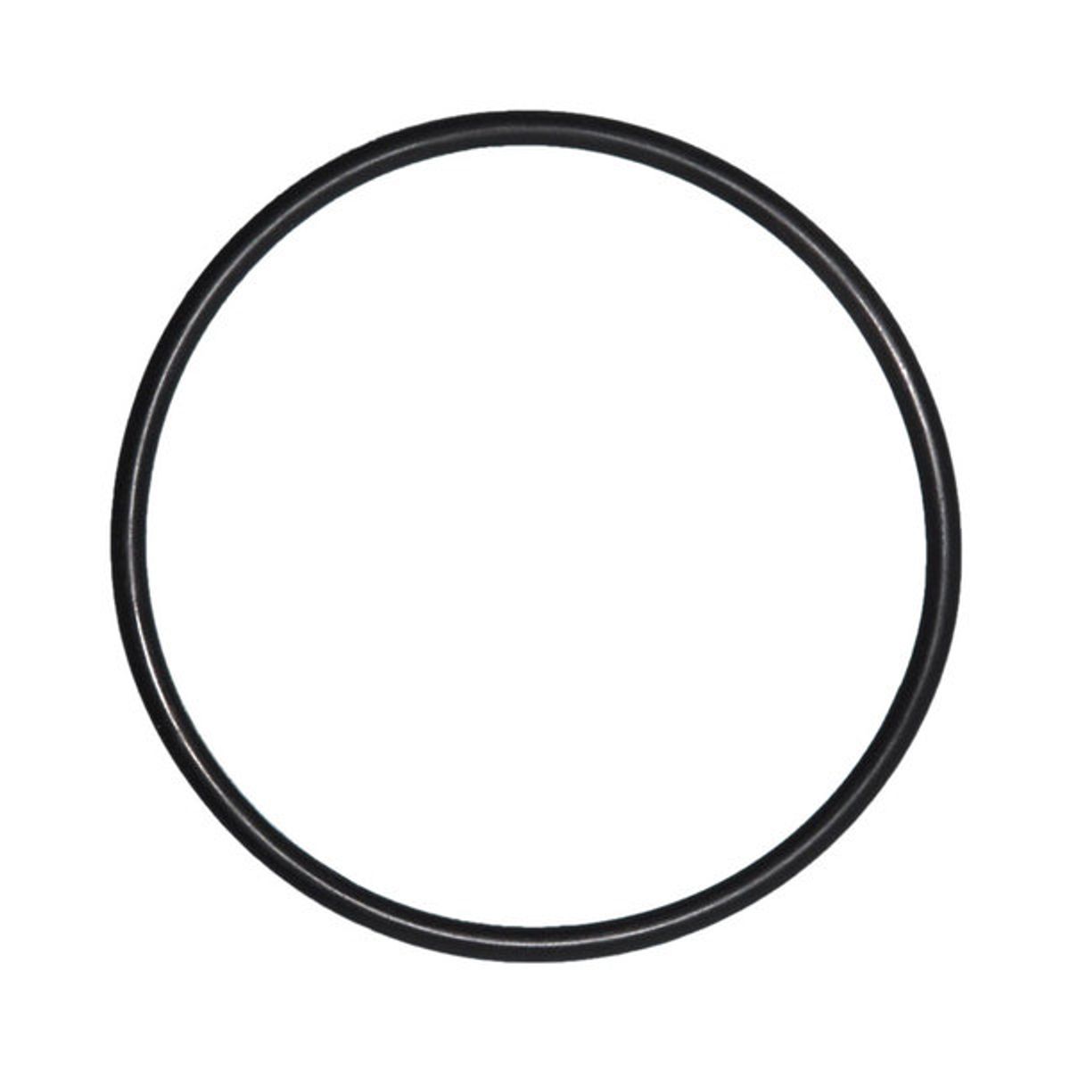 O-Ring voor deksel Mega Pool SS zwembadpomp