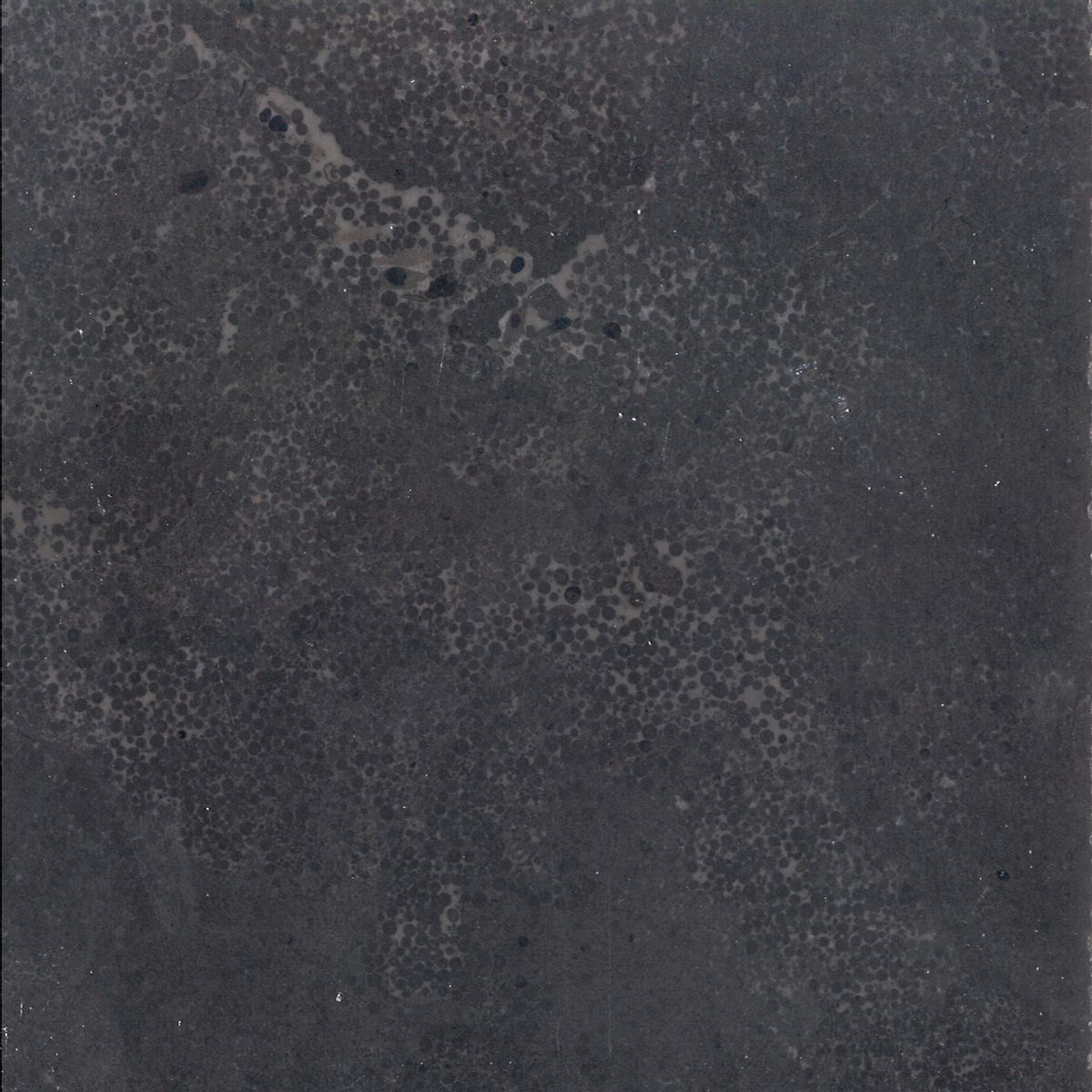 Randtegel bluestone gezoet