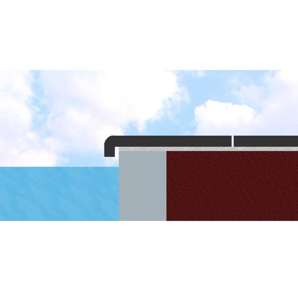 Randtegel bluestone gezoet - hoek 90°