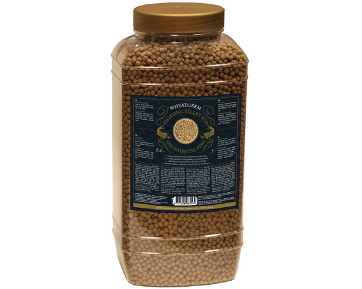 Wheatgerm koivoer voor lage temperaturen 1.8kg (drijvend voer 6mm)