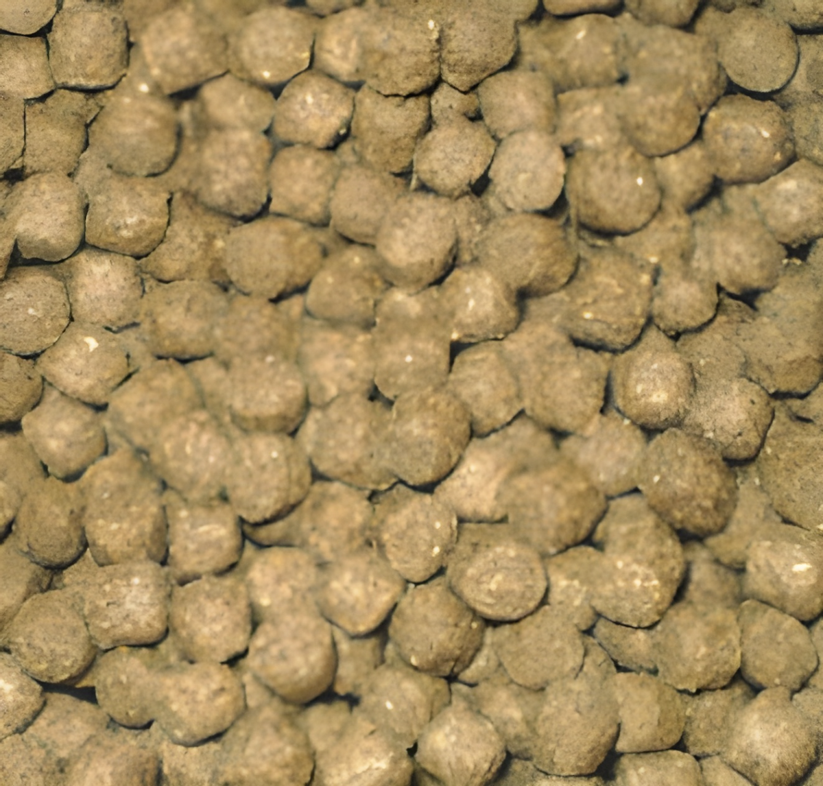 Aquaforte Wheatgerm drijvend koivoer - 15kg