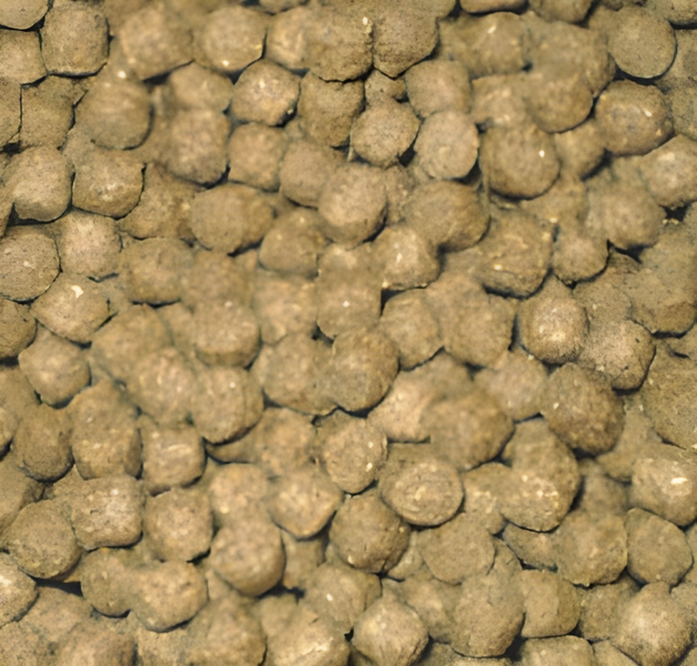 Aquaforte Wheatgerm drijvend koivoer - 15kg