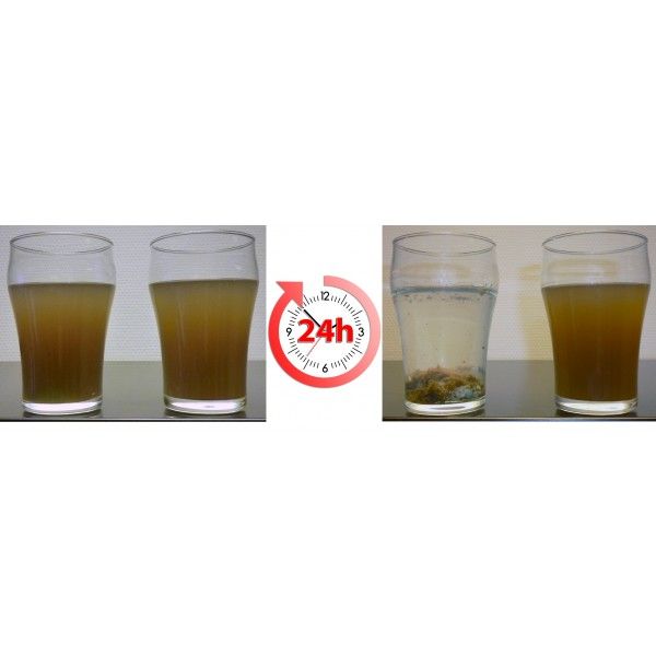 Pond Zinger Flocculant/Fosfaat verwijderaar