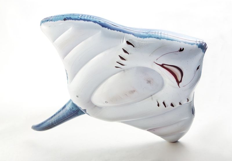 Intex Ride-On opblaasbare rog (188 cm)