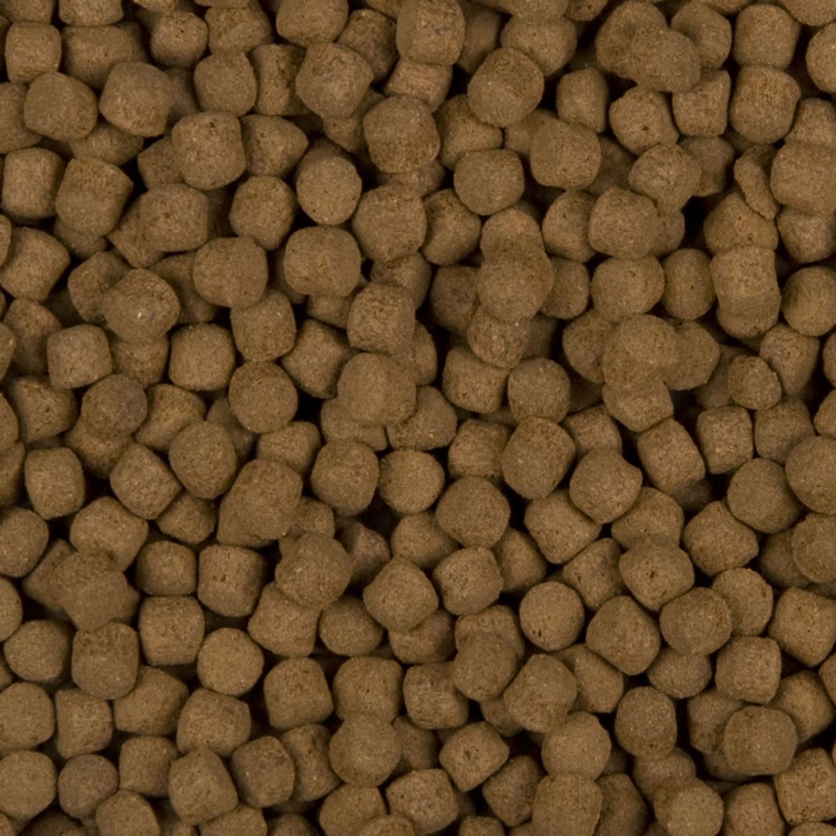 Sanikoi Excellent All Round Food 6 mm - 500 gram