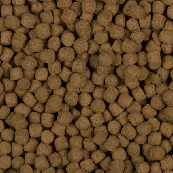 Sanikoi Excellent All Round Food 6 mm - 4500 gram
