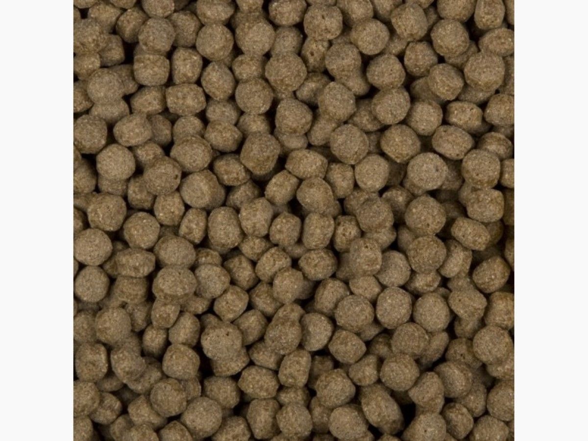 Sanikoi All Season Wheat Germs 6mm - 1300 gram