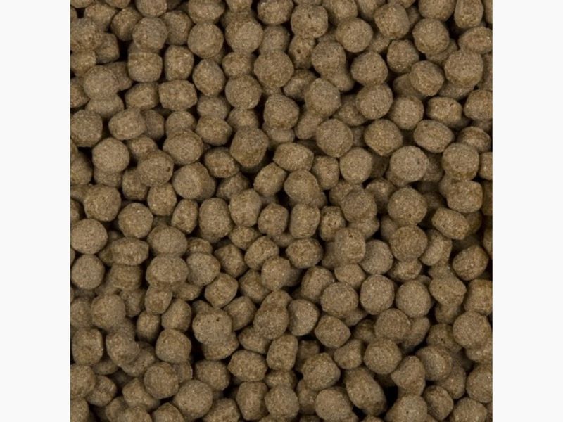 Sanikoi All Season Wheat Germs 6mm - 1300 gram