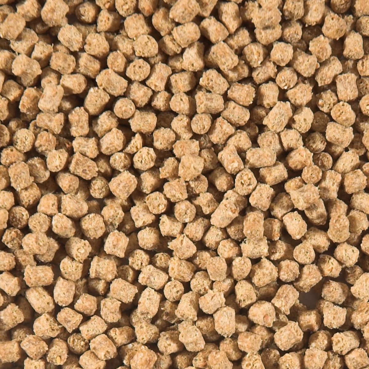 Sanikoi Winter Wheat Germ 3 mm - 1800 gram